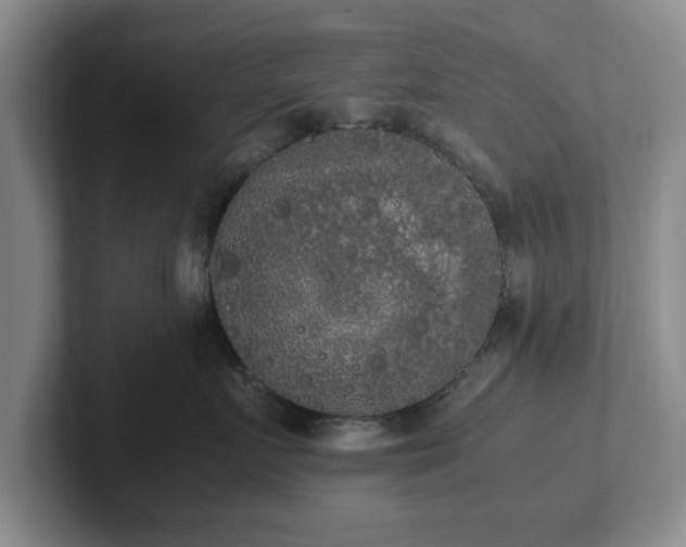 X0000102470719200808151428
