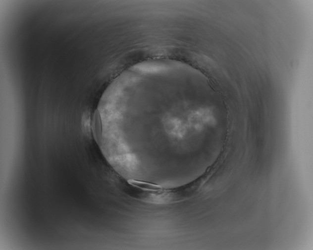 X0000102470720200808151428