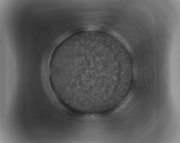 X0000102470721200808151427