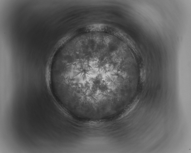 X0000102470725200808151427