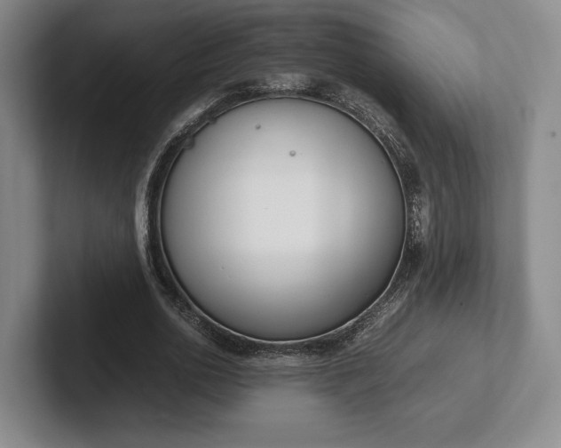 X0000102470726200808151427