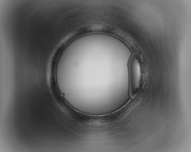 X0000102470728200808151427