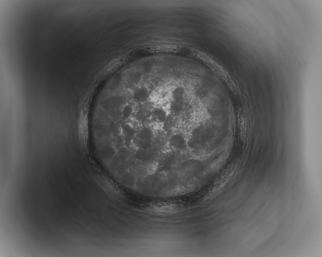 X0000102470729200808151427