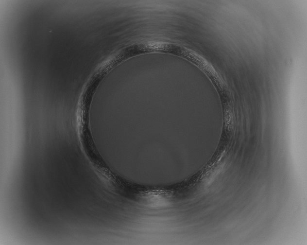 X0000102470736200808151428