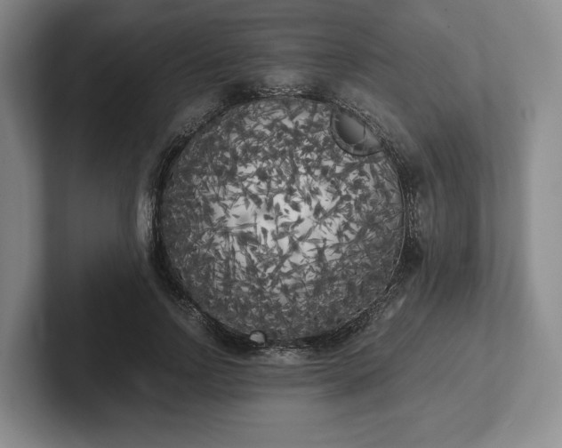 X0000102470742200808151428