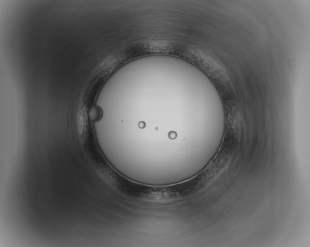 X0000102470744200808151428