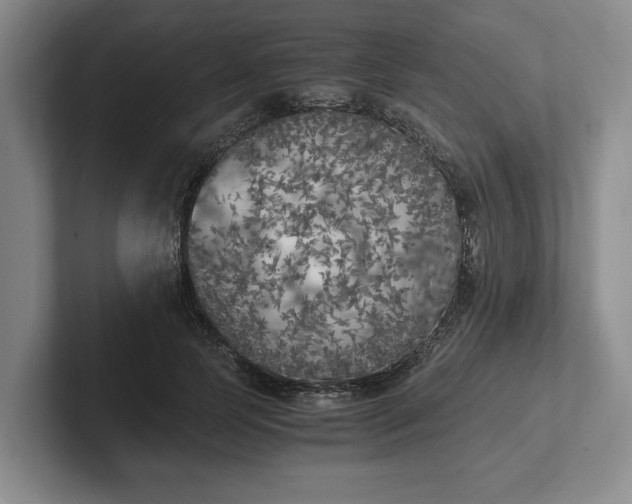 X0000102470745200808151428