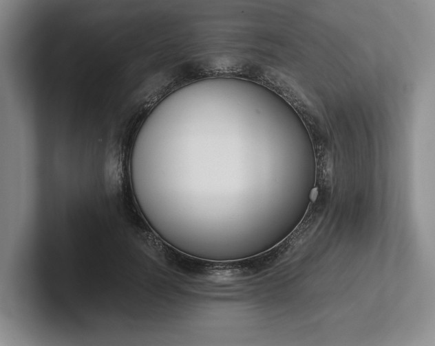 X0000102470746200808151428