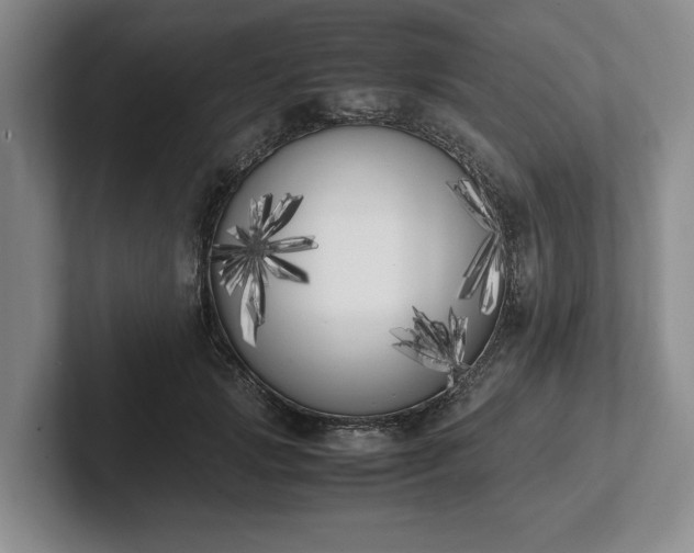 X0000102470749200808151428
