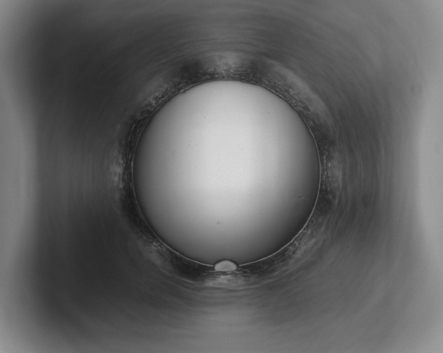 X0000102470750200808151428