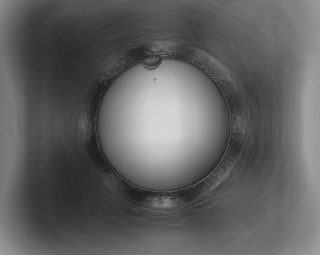 X0000102470751200808151428