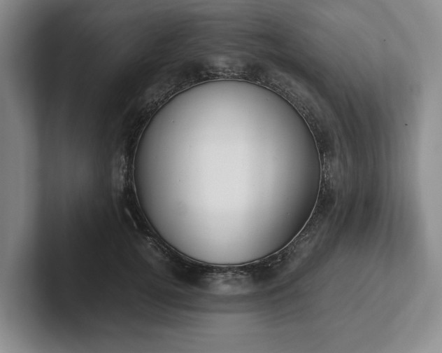 X0000102470752200808151428