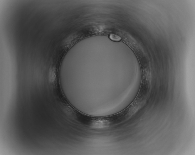 X0000102470754200808151428