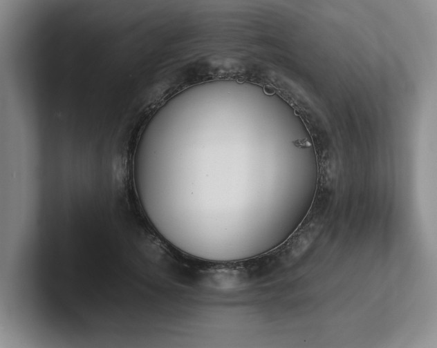 X0000102470756200808151428