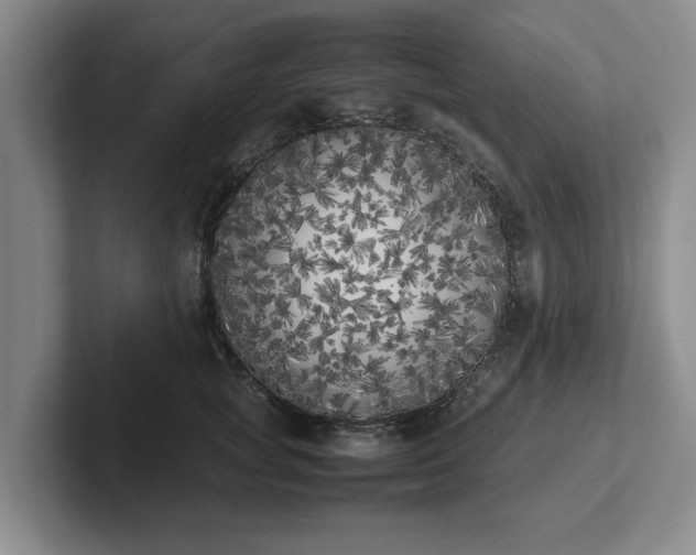 X0000102470757200808151428