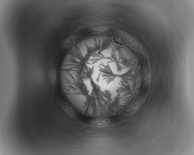 X0000102470758200808151428