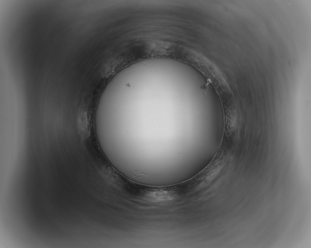 X0000102470759200808151428