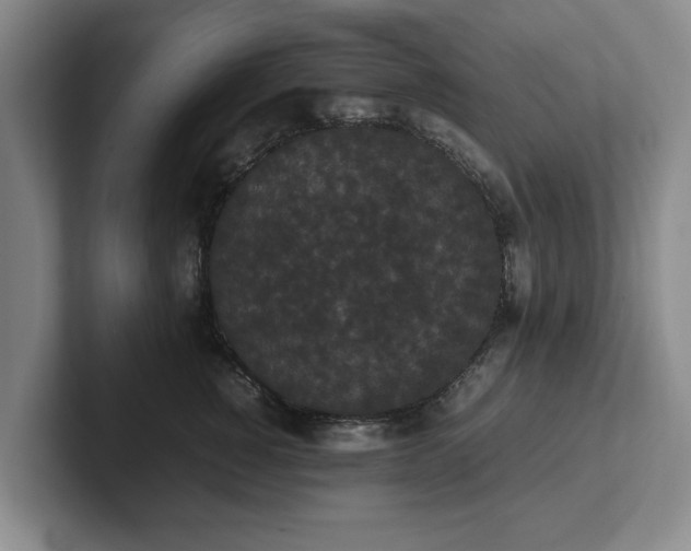 X0000102470760200808151428