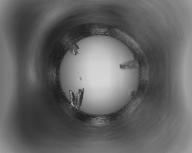 X0000102470761200808151428