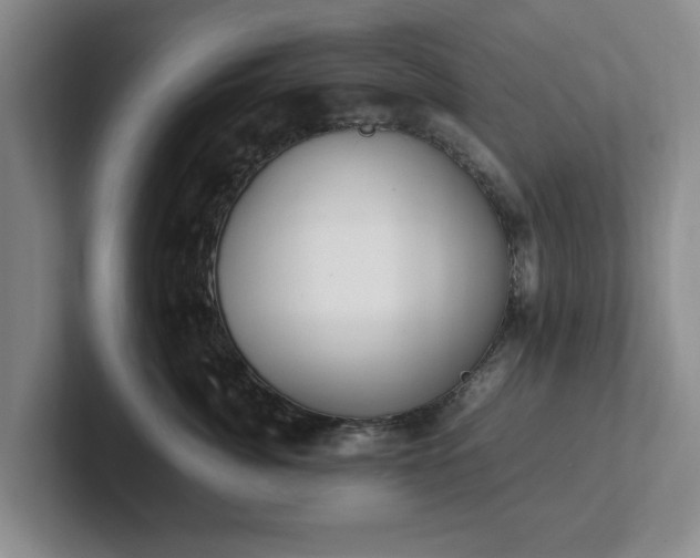 X0000102470764200808151428