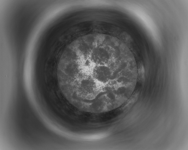 X0000102470765200808151428