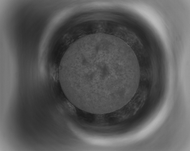 X0000102470766200808151428