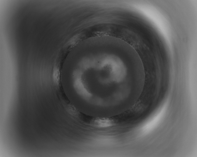 X0000102470767200808151428