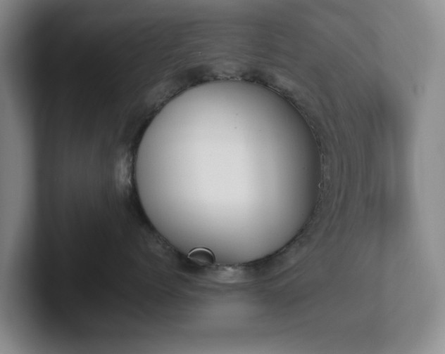 X0000102470768200808151428