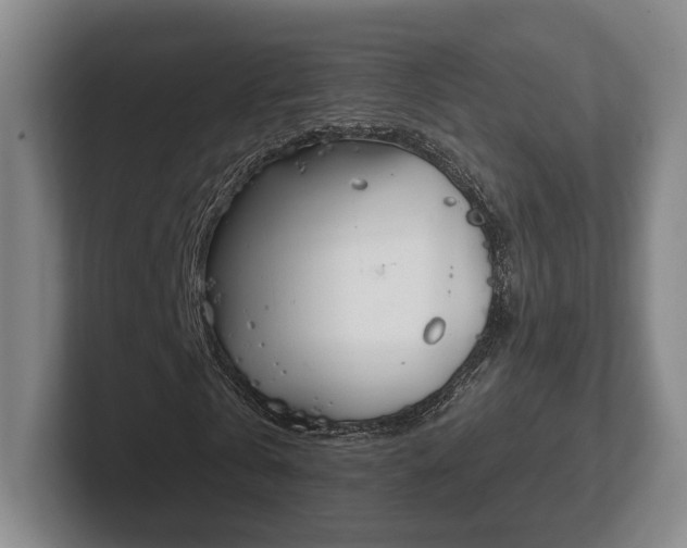 X0000102470769200808151427