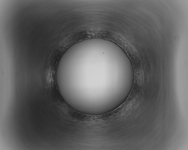 X0000102470770200808151427