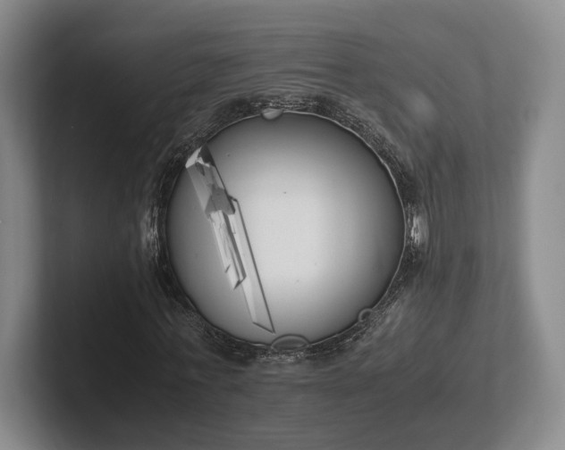 X0000102470771200808151427