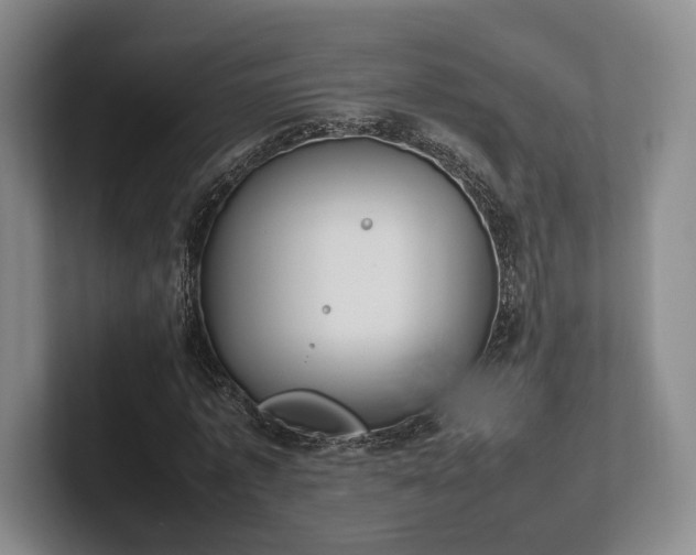 X0000102470773200808151427