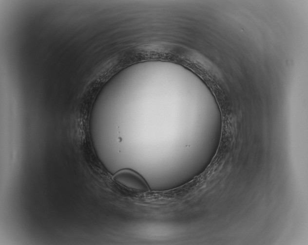 X0000102470774200808151427