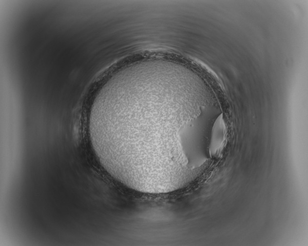 X0000102470775200808151427