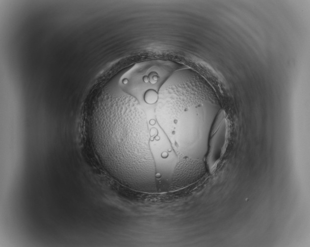 X0000102470776200808151427