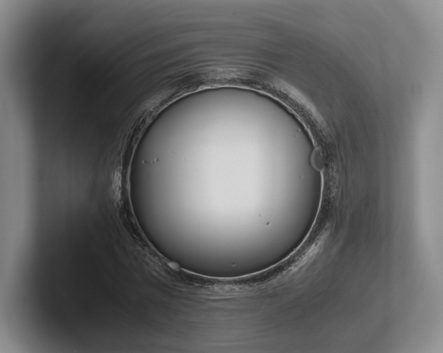 X0000102470777200808151427