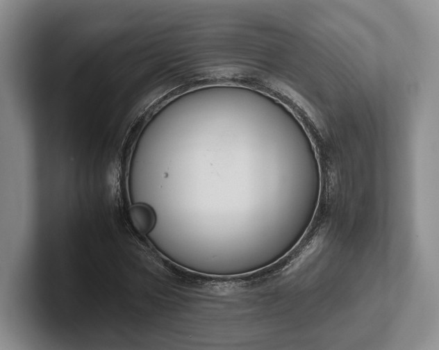 X0000102470778200808151427