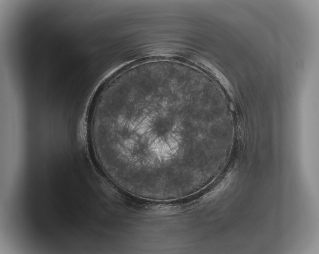 X0000102470779200808151427