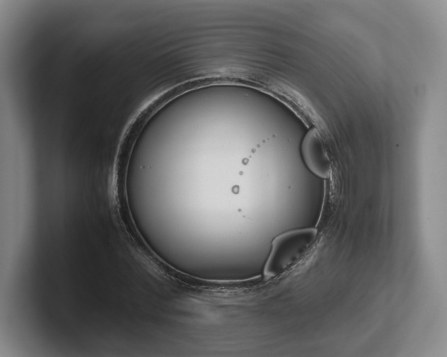 X0000102470780200808151427