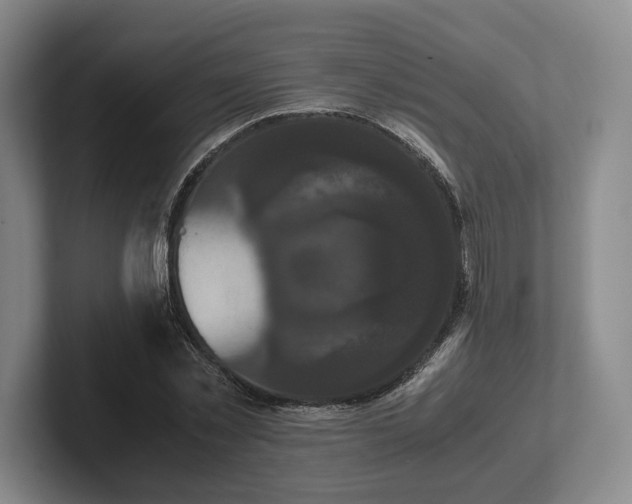 X0000102470781200808151427