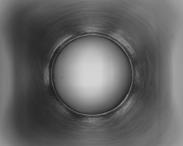 X0000102470782200808151427