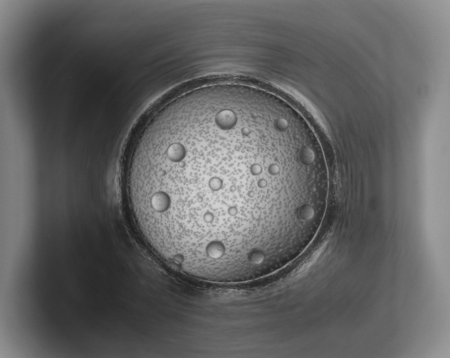 X0000102470783200808151427
