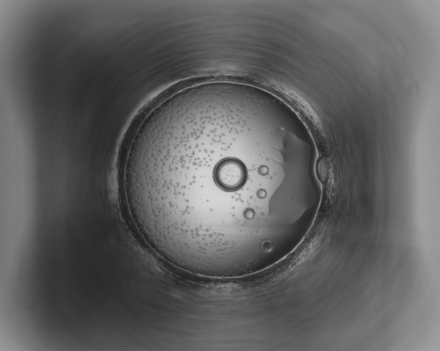 X0000102470784200808151427
