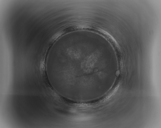 X0000102470785200808151427