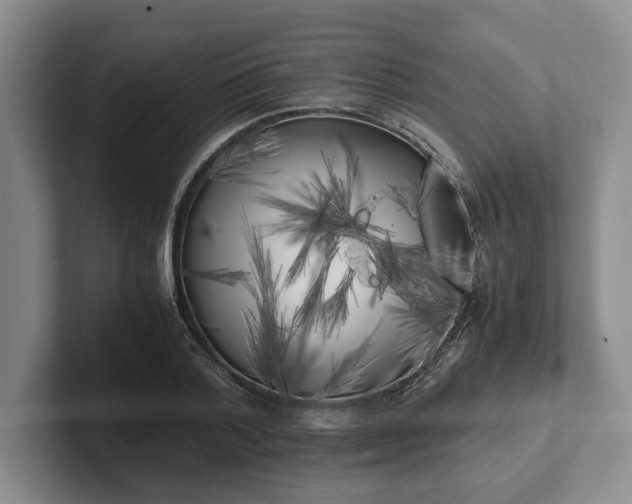 X0000102470788200808151427