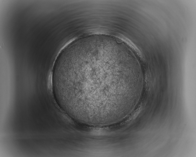 X0000102470790200808151427