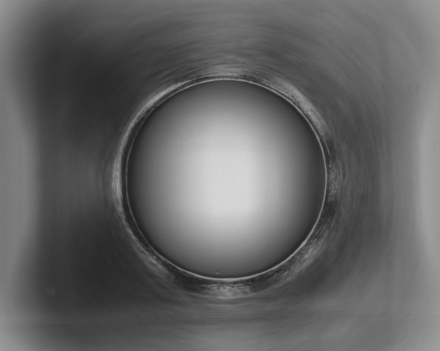 X0000102470795200808151427