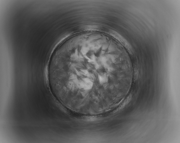 X0000102470798200808151427
