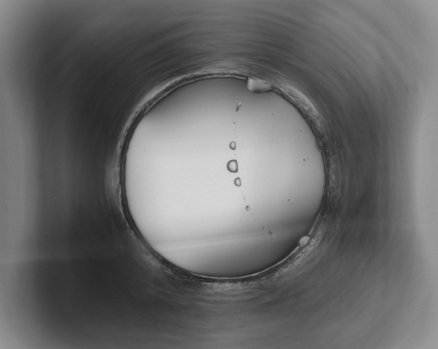 X0000102470800200808151427