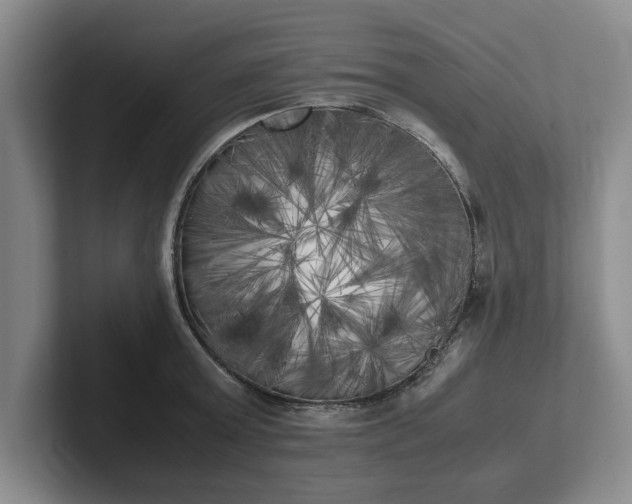 X0000102470803200808151427